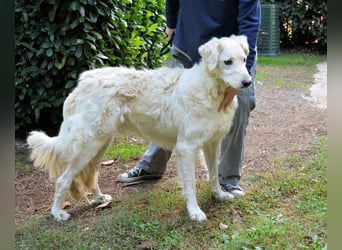 Hadeus - Wovon träumst du?