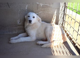 Ryther - Für diese traurige Geschicht...