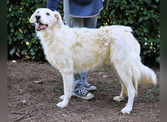 Hadeus - Wovon träumst du?