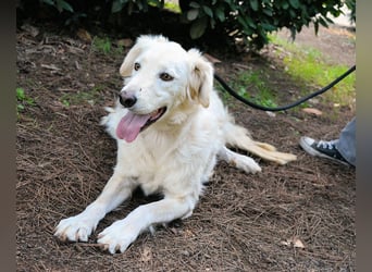 Hadeus - Wovon träumst du?