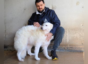 Wania - Zur falschen Zeit am falschen Ort...