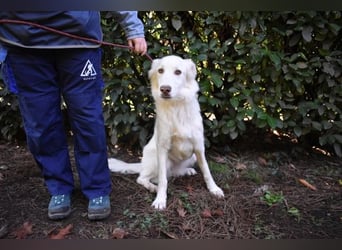 Thulin - Eigentlich ist ja alles da...