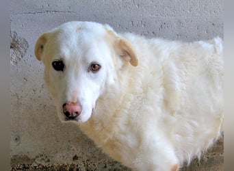 Vitale - "Komm, trau dich! Du kannst das!"