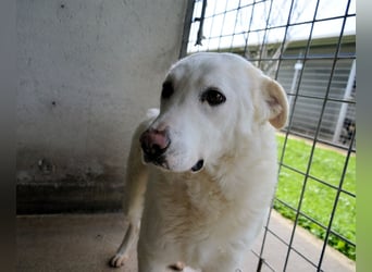 Vitale - "Komm, trau dich! Du kannst das!"