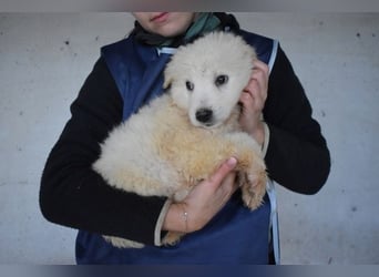 Calira - Weiß jemand, was aufpassen eigentlich heißt?