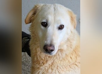 Frieder - Gibt es ein Leben jenseits von Schmerz und Einsamkeit?