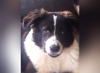 Uriel -  Zeigst du mir den Weg?