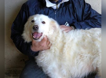 Wania - Zur falschen Zeit am falschen Ort...