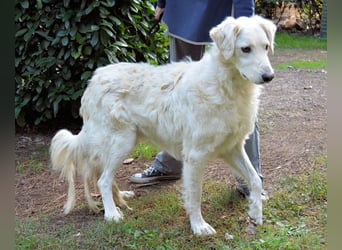 Hadeus - Wovon träumst du?