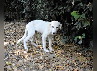Calendula - Was noch nicht ist, kann immer noch werden!