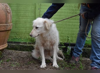 Graciela - NOTFALL - Was hatte sie schon...