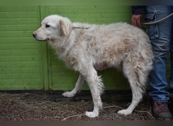 Graciela - NOTFALL- Was hatte sie schon...