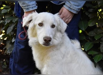 Thulin - Eigentlich ist ja alles da...