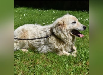 Alida - Unter dem Mantel der Verwahrlosung