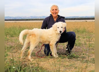 Garth - Kannst du machen, dass es nicht so lange dauert?