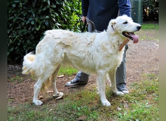 Hadeus - Wovon träumst du?