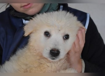 Calira - Weiß jemand, was aufpassen eigentlich heißt?