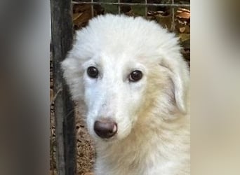 Calendula - Was noch nicht ist, kann immer noch werden!