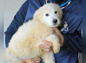 Clyro - SOS - Weiß jemand, was aufpassen eigentlich heißt ?