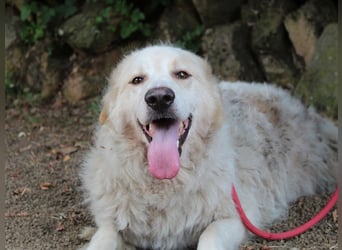 Papak - Nutze den Tag!