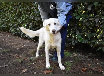 Thulin - Eigentlich ist ja alles da...