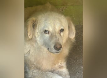 Graciela - NOTFALL - Was hatte sie schon...