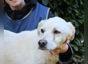 Talete - NOTFALL - Wenn man ehrlich ist