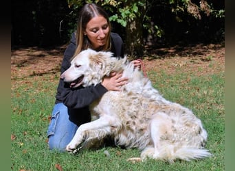 Hadeus - Wovon träumst du?