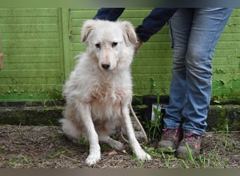 Graciela - NOTFALL - Was hatte sie schon...