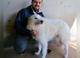 Wania - Zur falschen Zeit am falschen Ort...