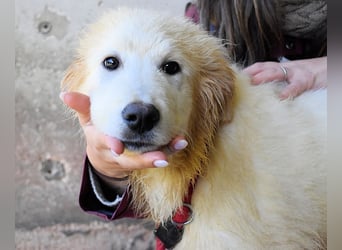 Cairox - SOS - Weiß jemand, was aufpassen eigentlich heißt?