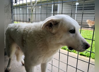 Vitale - "Komm, trau dich! Du kannst das!"