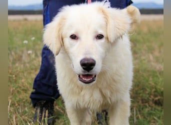 Garth - Kannst du machen, dass es nicht so lange dauert?