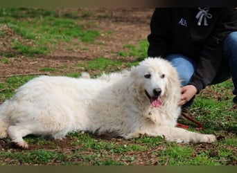 Alida - Unter dem Mantel der Verwahrlosung