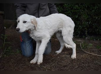 Stobin - So jung und so chancenlos ...