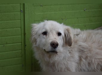 Graciela - NOTFALL - Was hatte sie schon...