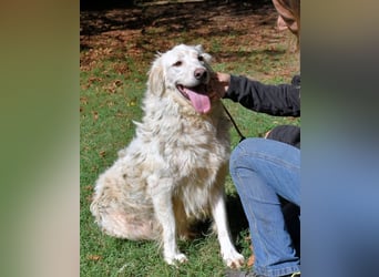 Hadeus - Wovon träumst du?