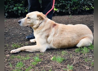 Admeto - Nur ein Wunsch: endlich nach Hause!