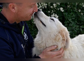 Garth - Kannst du machen, dass es nicht so lange dauert?