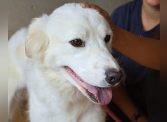 Habriel - weiß, es wird einmal ein Wunder gescheh'n