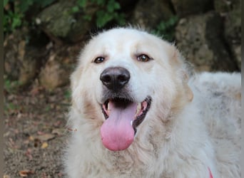 Papak - Nutze den Tag!