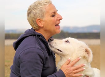 Garth - Kannst du machen, dass es nicht so lange dauert?