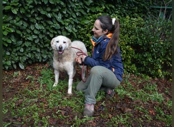 Generosa - Ein Adler bleibt ein Adler...