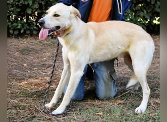 Admeto - Nur ein Wunsch: endlich nach Hause!