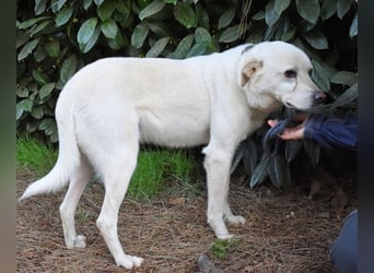 Talete - NOTFALL - Wenn man ehrlich ist