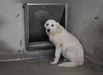 Ryther - Für diese traurige Geschicht...