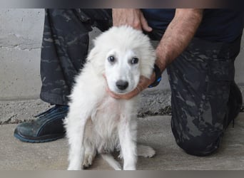 Garth - Kannst du machen, dass es nicht so lange dauert?