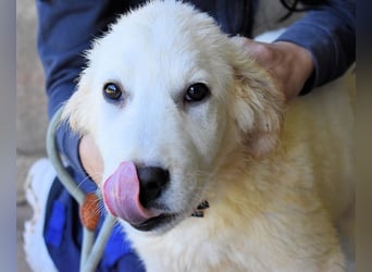 Cilwen - SOS - Weiß jemand, was aufpassen eigentlich heißt ?