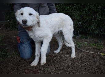 Stobin - So jung und so chancenlos ...