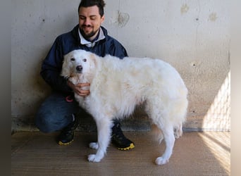 Wania - Zur falschen Zeit am falschen Ort...